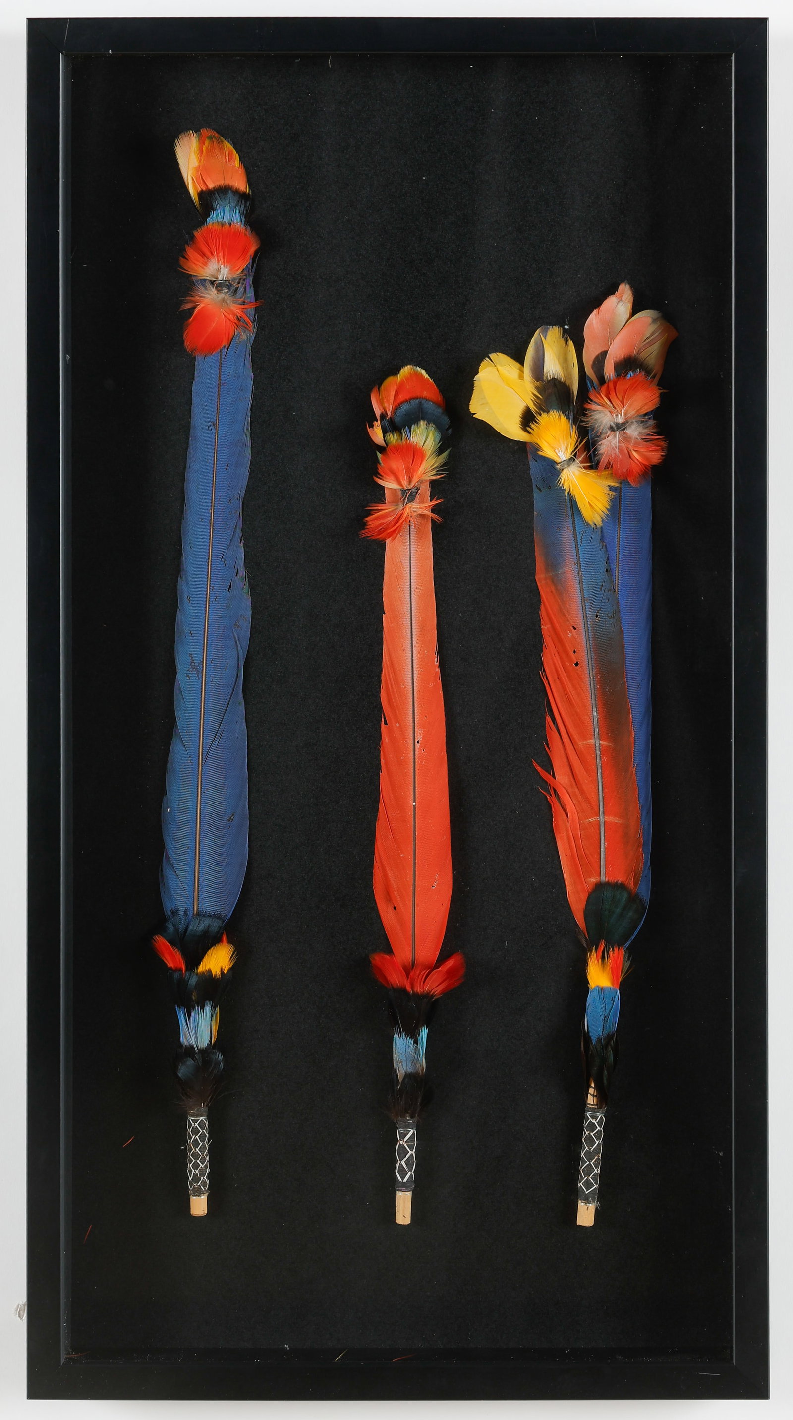 Amazonian Feather Ornament Assemblage, L: 20"-26" (1 of 2)