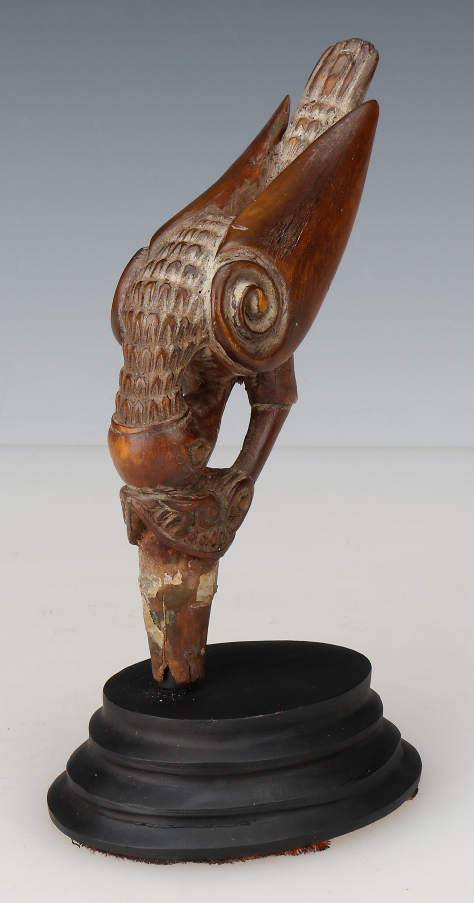 Early Indonesian Horn Handle For Kris Or Betel Nut Tool (1 of 8)