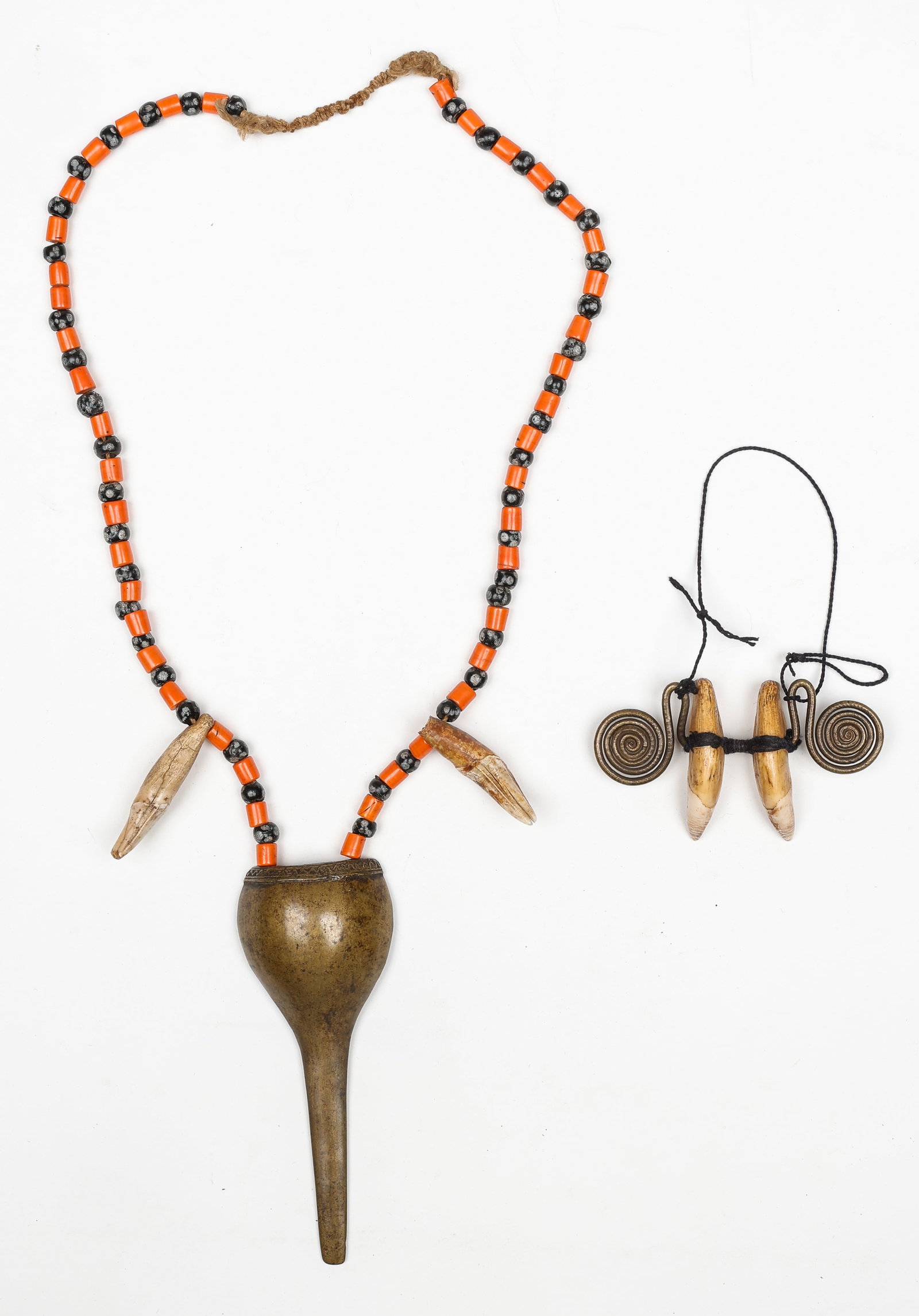 2 Tiger's Teeth Adornments, NE India (1 of 4)