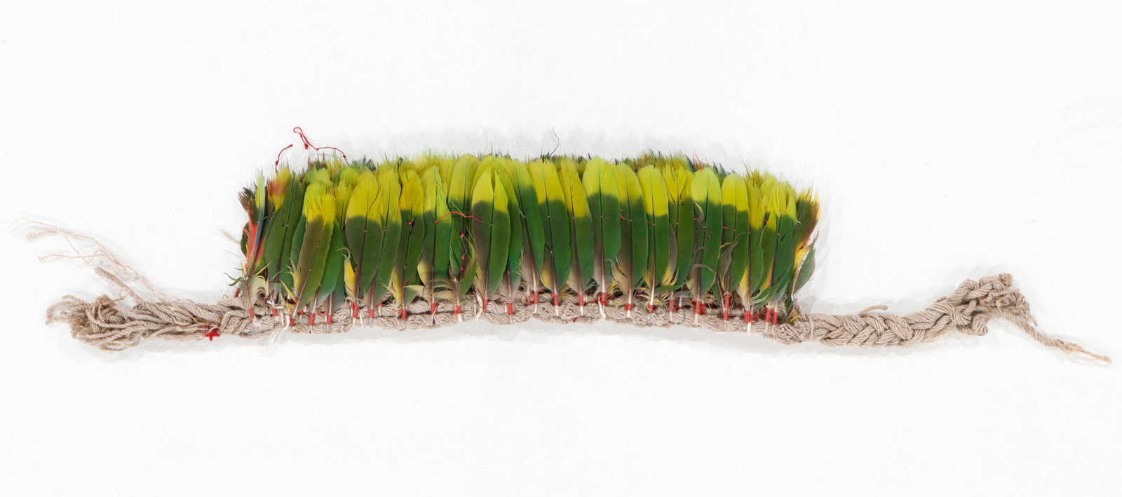 Karaja Tribe Feathered Headband, Brazil, Mid 20th C. (1 of 3)
