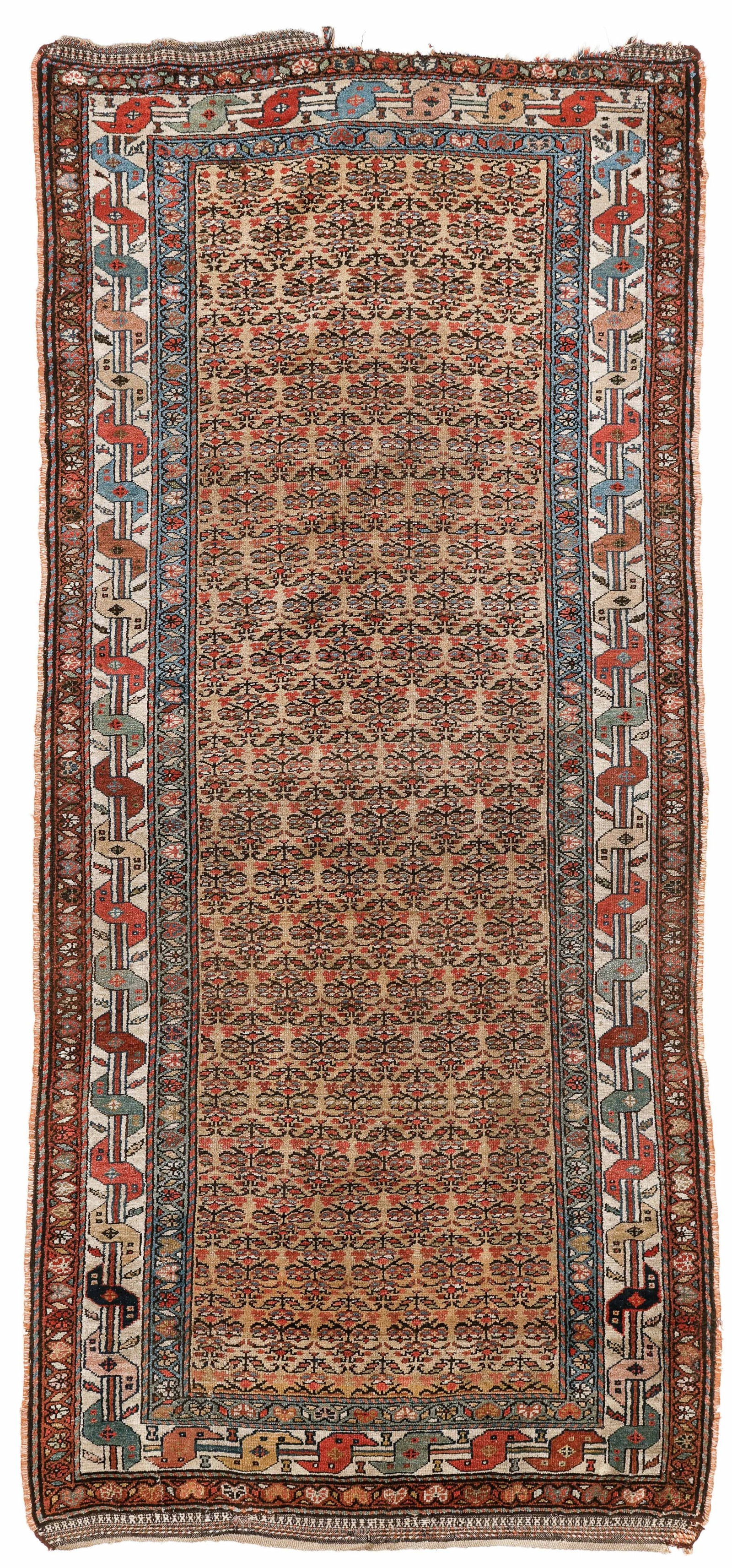 Gold Field Kurd Rug, Transcaucasus, Late 19th C., 4'4'' x 9'6'' (1 of 4)