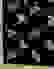 item-24205021=2