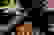 item-24205021=4
