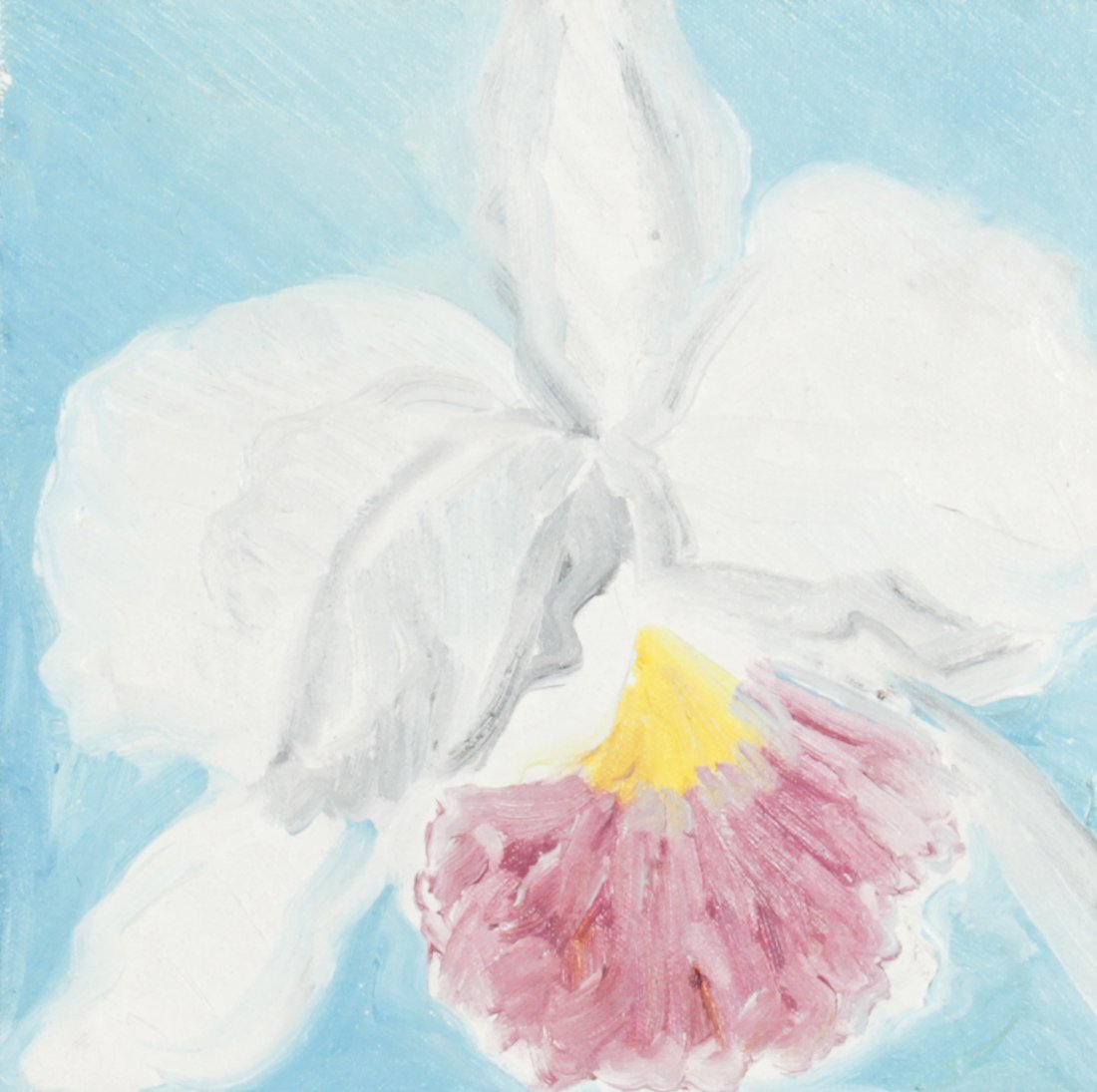 Hunt Slonem, Orchid Painting: Hunt Slonem (American, b. 1951), Untitled (Orchid), oil on canvas, signed on verso. Size: 8" x 8", 20 x 20 cm (stretcher). Provenance: The Estate of Aaron Fine, Swarthmore, PA.