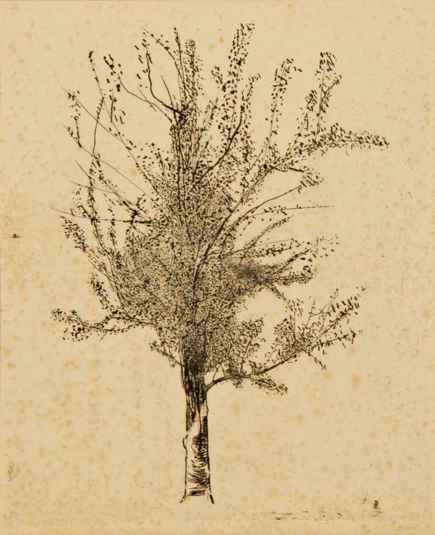 Leonard Baskin, Spring Tree, 1961: Leonard Baskin (American, 1922-2000), "Spring Tree", 1961, etching, 36/50. Size: 31.75" x 25", 81 x 64 cm (frame), 18.5" x 15", 47 x 38 cm (sight). Condition: Foxing throughout the sheet. Provenance: