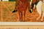 Oil cloth rug Oil cloth rug