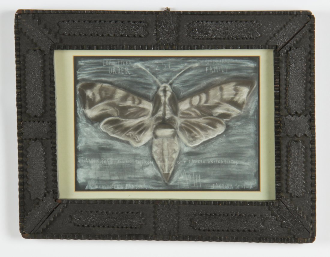 Dean Brown (American, 20th c.): Dean Brown (American, 20th c.) Moth - Garden Pest Found Throughout Eastern United States, charcoal on paper, framed, 8.25" x 11.5" Drawing in Vintage Tramp Art Frame Jonathan Demme Collection