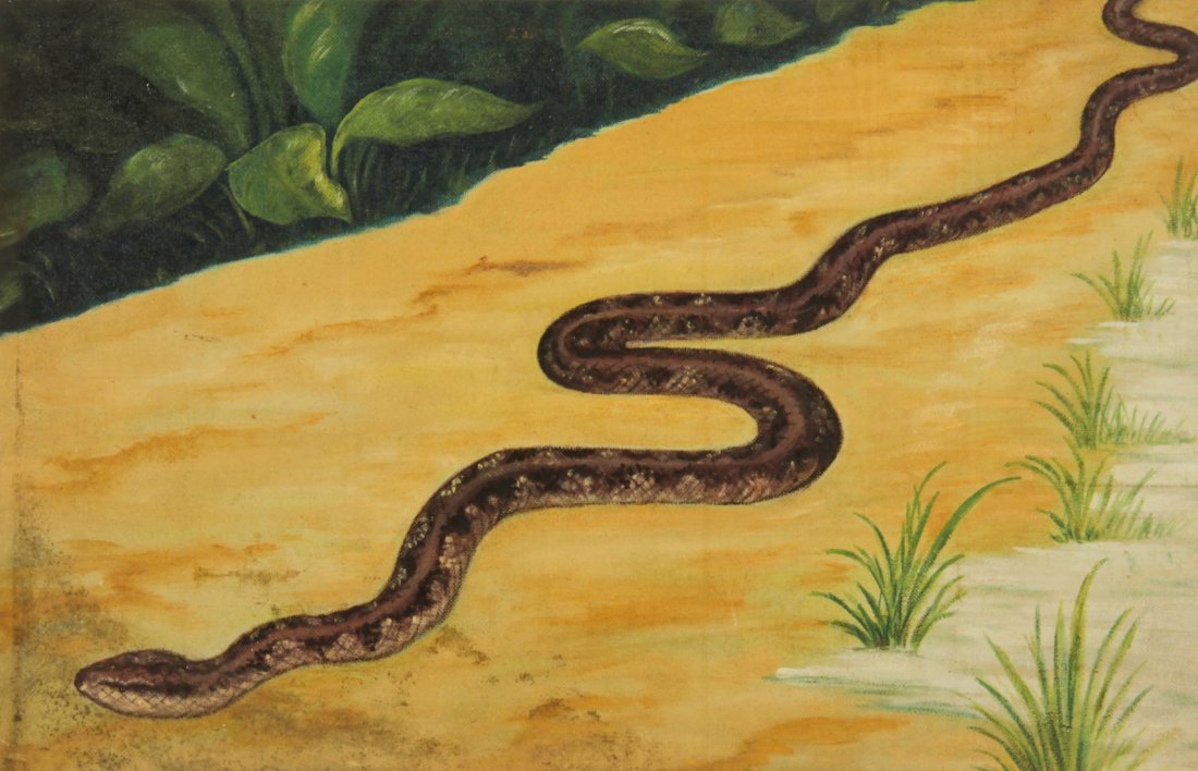Unknown Artist (Bahamian, 20th c.): Unknown Artist (Bahamian, 20th c.) Snake in the Road Oil on canvas, framed, 22" x 34" Jonathan Demme Collection