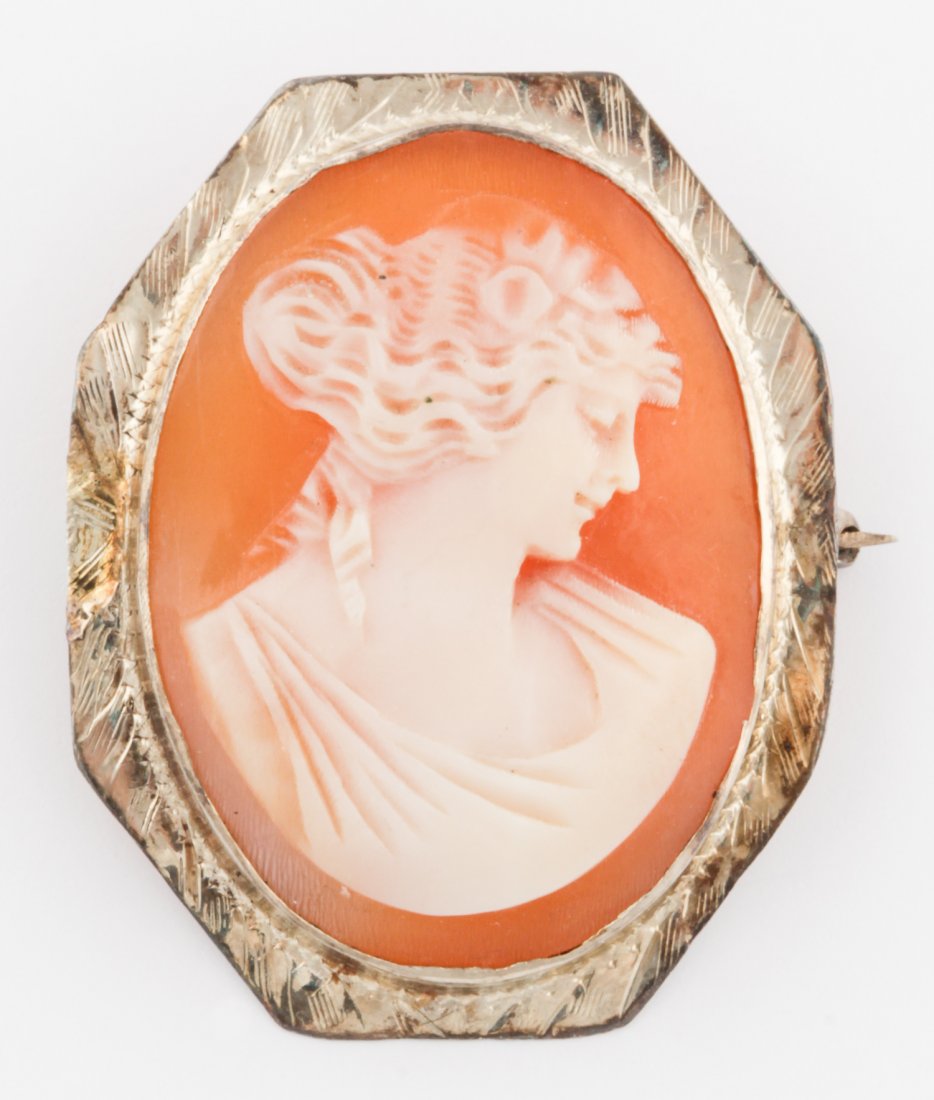 Silver and Hardstone Cameo Pin: Silver and Hardstone Cameo Pin. Size: 1" x 0.75" (2.5 x 2 cm). 3.4 g. Since 1937, the The Silver Shop of Princeton, NJ was located at 59 Palmer Square West.