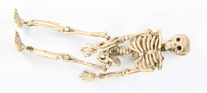 Group of 32 Plastic Halloween Skeletons: Group of 32 Plastic Skeletons. 5.5"L (14 cm). Silver Shop Halloween Window Display. Naturalistic. 3 Dimensional. High Quality.Since 1937, the The Silver Shop of Princeton, NJ was located at 59 Palmer