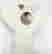 item-31928153=3