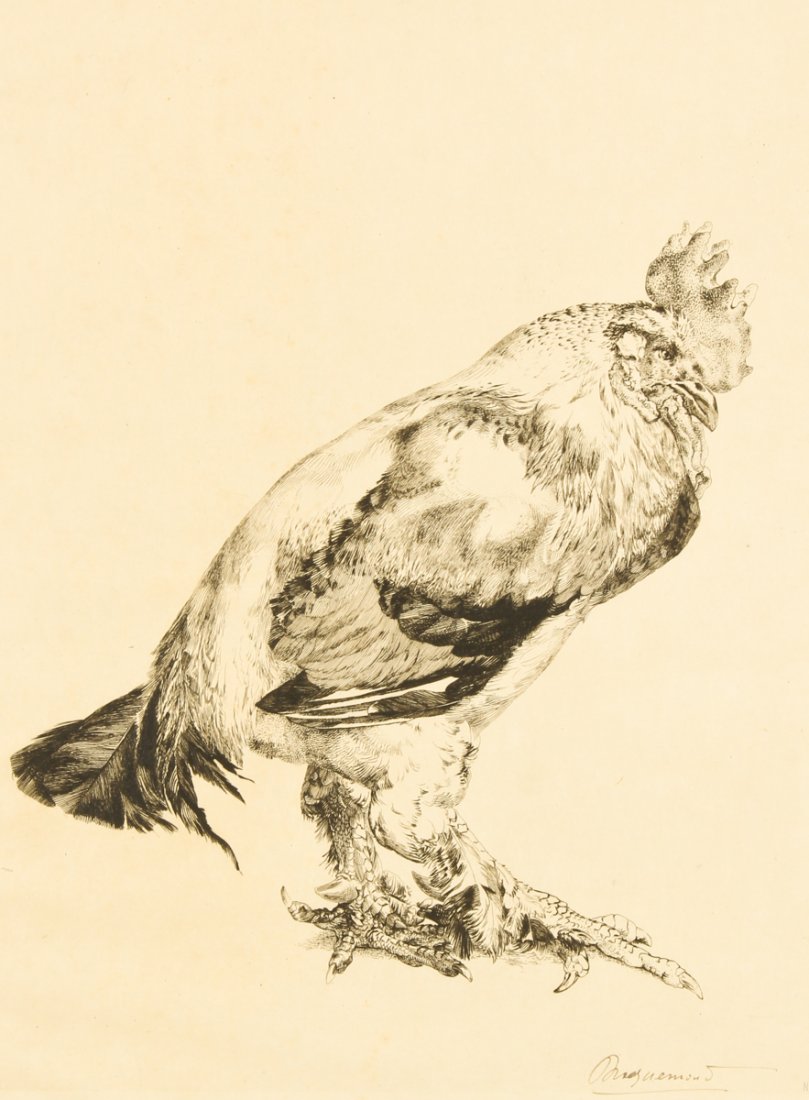 Felix Bracquemond (French, 1833-1914): Felix Bracquemond (French, 1833-1914) Le Vieux coq (The Old Cock), engraving, signed. Size: 12.75" x 9.75", 32 x 25 cm (plate); 18.5" x 13", 47 x 33 cm (sheet).