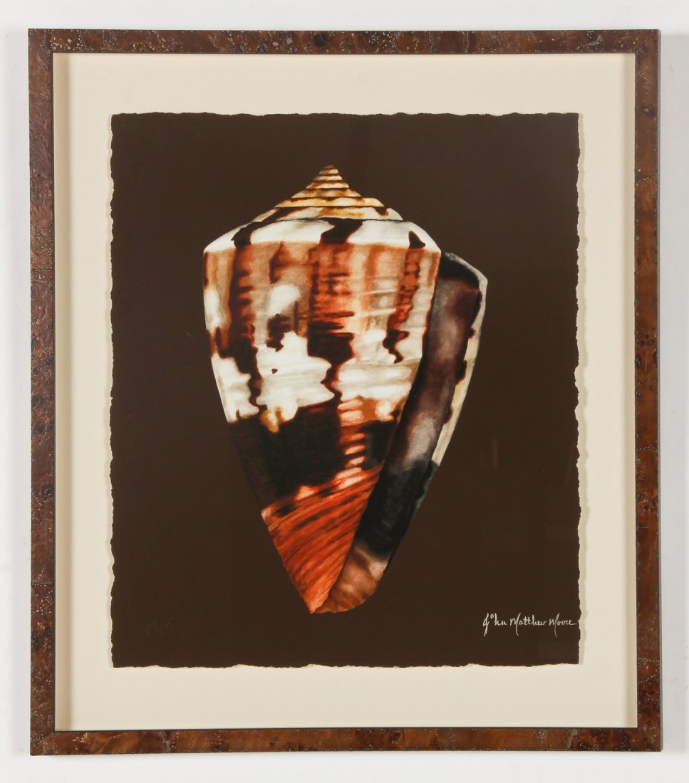 John Matthew Moore (20th c.) Shell: John Matthew Moore (20th c.) Shell, giclee. Size: 18.5" x 16", 47 x 41 cm (sheet); 29" x 26.25", 74 x 67 cm (frame). Proceeds from the sale of this item to benefit the Sterling Strauser Gallery at Eas