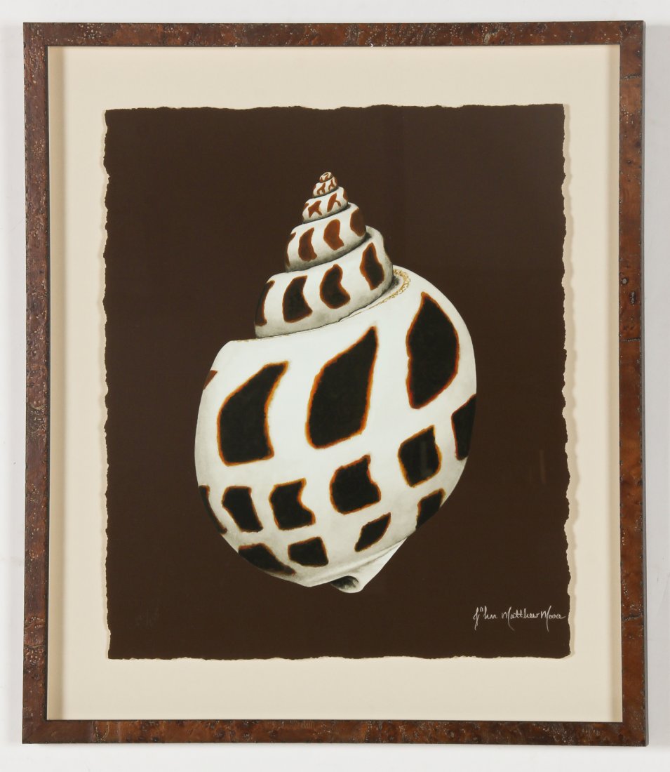 John Matthew Moore (20th c.) Sea Shell: John Matthew Moore (20th c.) Sea Shell, giclee. Size: 18.5" x 16", 47 x 41 cm (sheet); 29" x 26.25", 74 x 67 cm (frame). Proceeds from the sale of this item to benefit the Sterling Strauser Gallery at