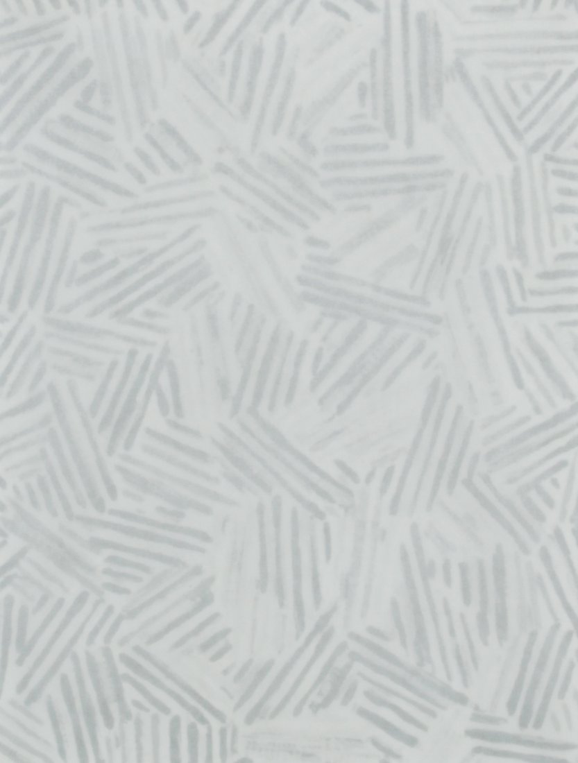 Jasper Johns (American, b. 1930) "Silver Cicada": Jasper Johns (American, b. 1930) "Silver Cicada", 1982, offset lithograph, unsigned, matted. Size: 9" x 7", 23 x 18 cm (sheet); 18" x 14", 46 x 36 cm (mat).