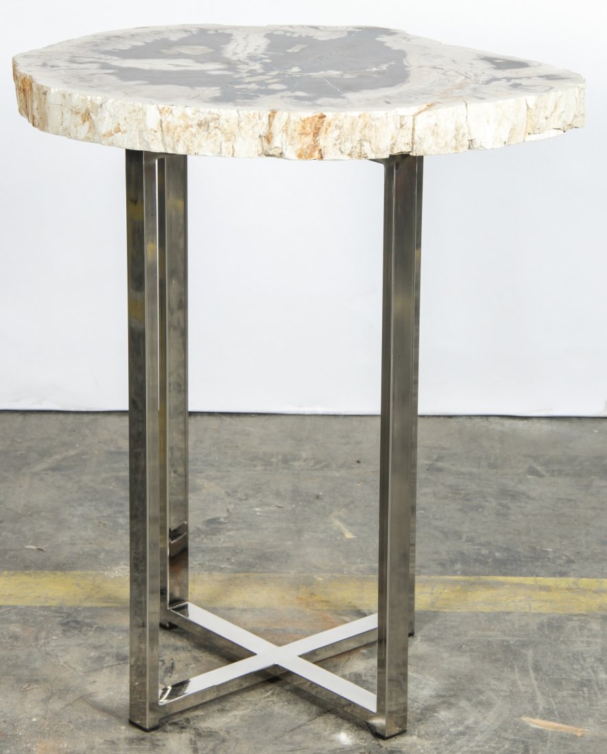 20 Million Year Petrified Wood Table (1 of 3)