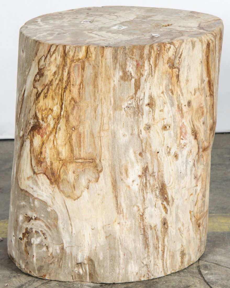 20 Million Year Petrified Wood: 20 Million Year Petrified Wood, Indonesia. Size: 16.25" x 14.25" x 14.5" (41 x 36 x 37 cm).