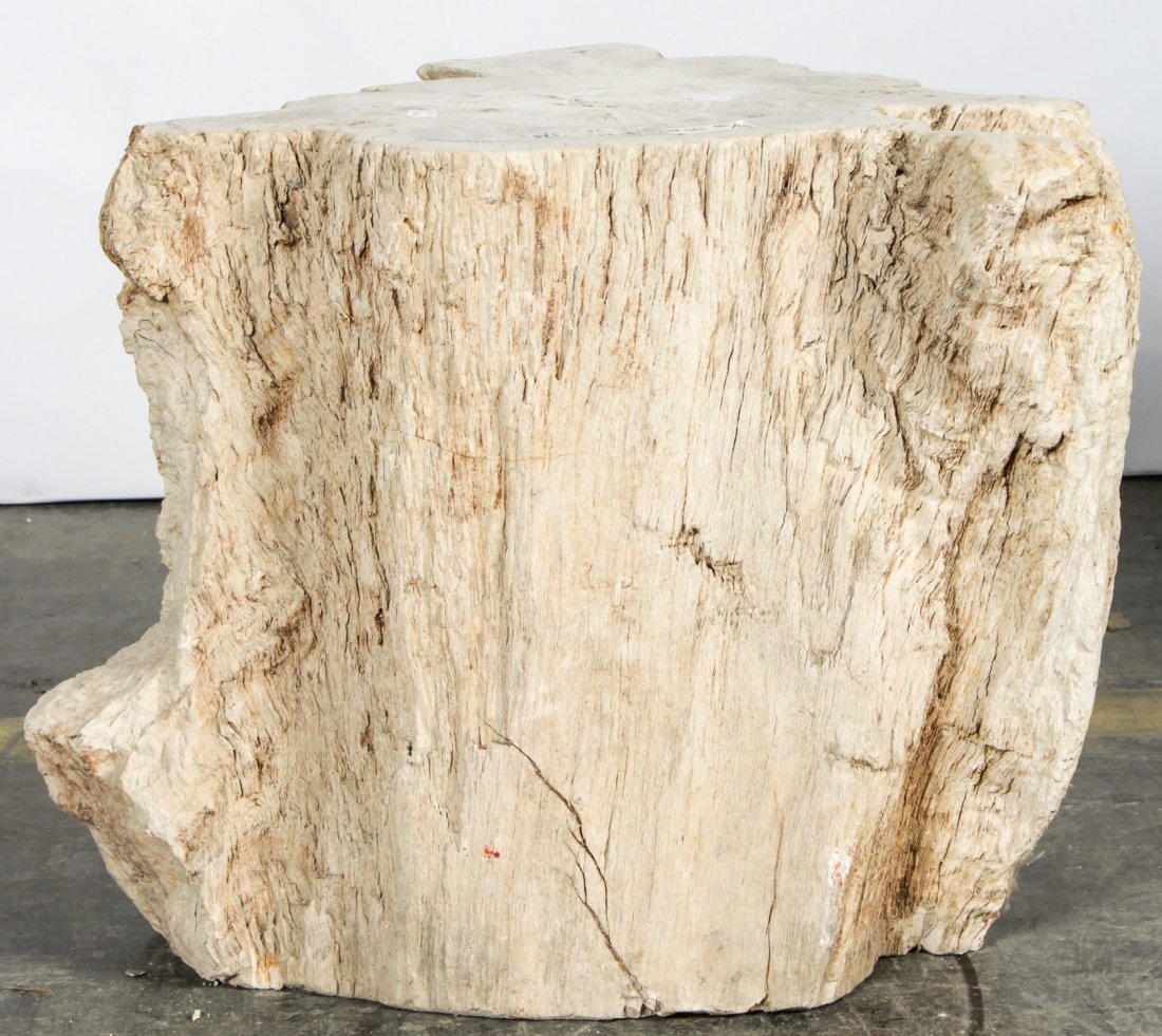 20 Million Year Petrified Wood: 20 Million Year Petrified Wood, Indonesia. Size: 18" x 20" x 24.5" (46 x 51 x 62 cm).
