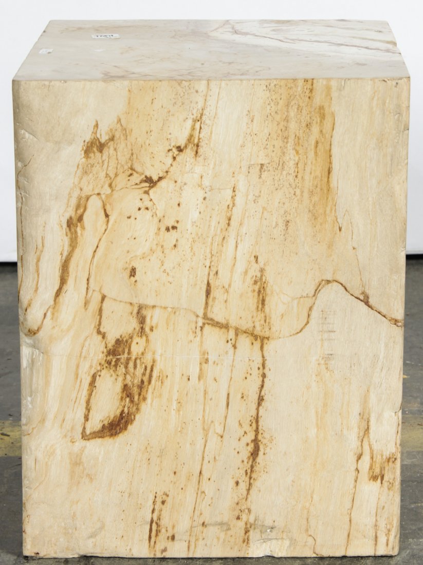 20 Million Year Petrified Wood: 20 Million Year Petrified Wood, Indonesia. Size: 16.5" x 12.5" x 12.5" (42 x 32 x 32 cm).