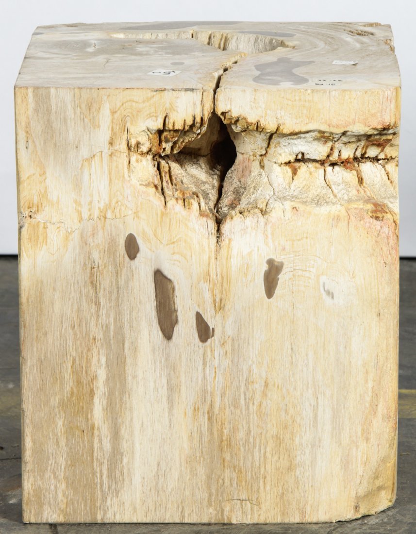 20 Million Year Petrified Wood: 20 Million Year Petrified Wood, Indonesia. Size: 16" x 13.5" x 12.25" (41 x 34 x 31 cm).