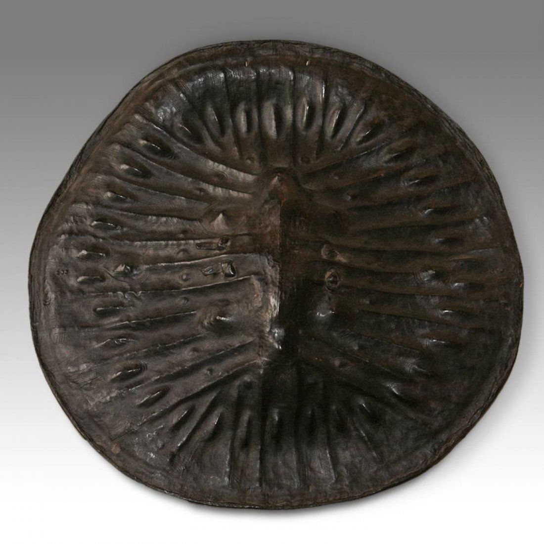 War Shield, Sidamo / Oromo People,19th C. (1 of 5)