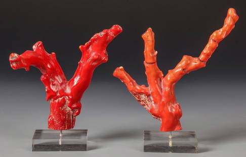 2 Red Coral Branches on Stands: 2 Red Coral Branches on Stands. Size: 9" x 7" x 2" (23 x 18 x 5 cm).