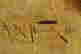item-48463047=3