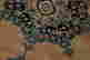 item-49076442=3
