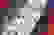 item-49076515=3