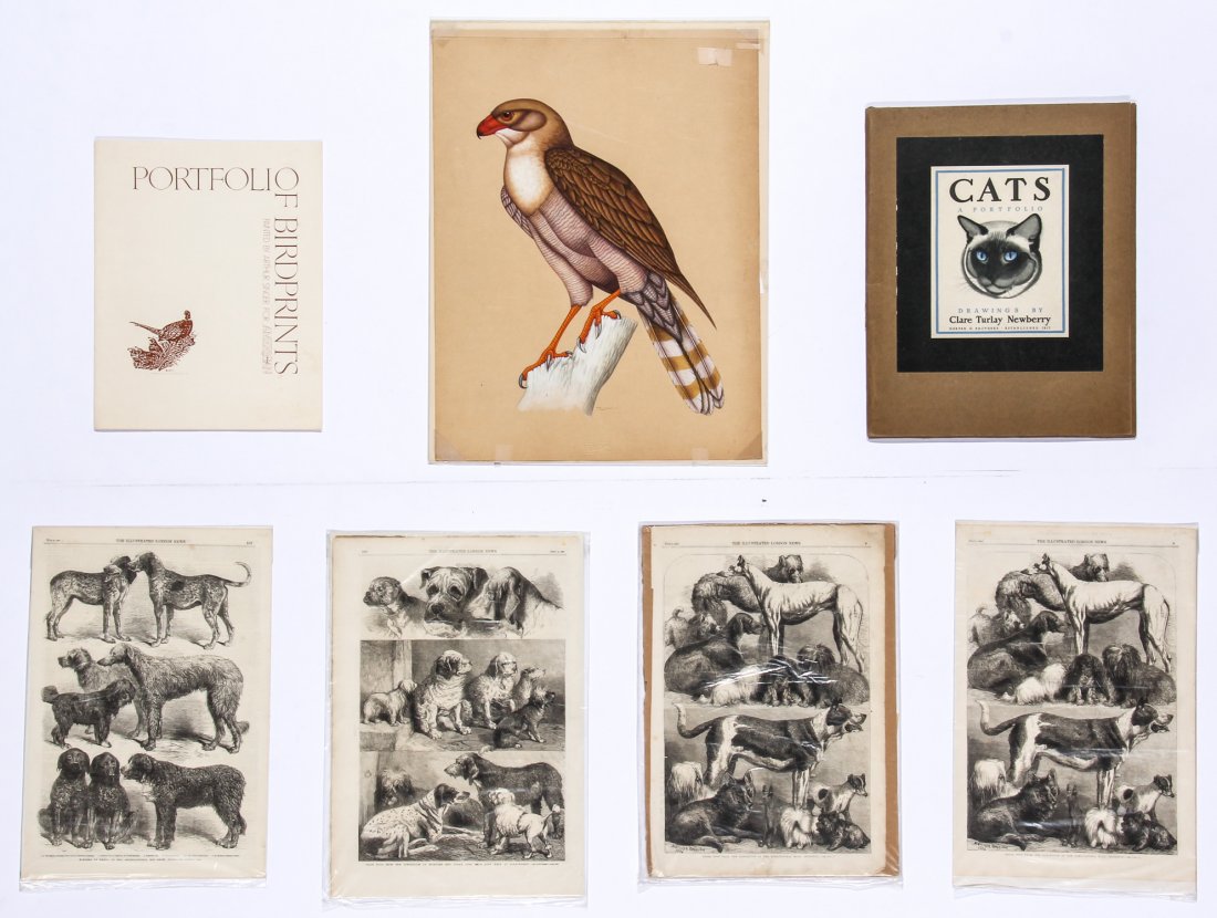 Collection of Animal Theme Prints: Collection of Animal Theme Prints. Including a portfolio of cats by Clare Turlay Newberry, a portfolio of birds by Arthur Singer, as well as a red tail hawk signed K. Kumar. Largest Size: 19.5" x 14.7