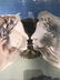 "Chalice of Love" Lmd. Ed. Print by Salvador Dali - 5