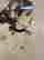 item-119487048=8