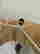 item-136571113=5