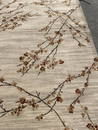 Cherry Blossom Wool, Cotton Area Rug