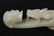 Chinese hetian white jade carved belt buckle - 6