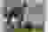 item-56536994=3