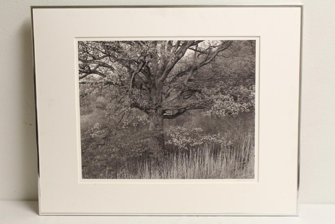 A gelatin silver print by George Tice (1 of 9)