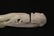 A beautiful Chinese jadeite carved belt buckle - 6