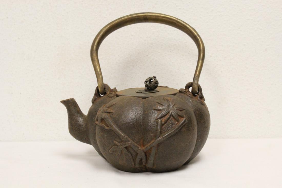 Chinese cast iron teapot: Chinese cast iron teapot, 8"Hx7.3"x5.8"