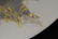3 Rosenthal porcelain pieces - 3