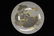 3 Rosenthal porcelain pieces - 4