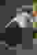 item-66530927=6