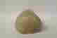 item-68297089=5