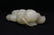A Chinese carved hetian white jade, Qing dynasty - 10