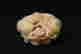 item-73045272=2