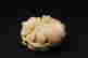 item-73045272=3
