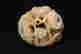 item-73045272=7