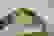 item-73498416=7
