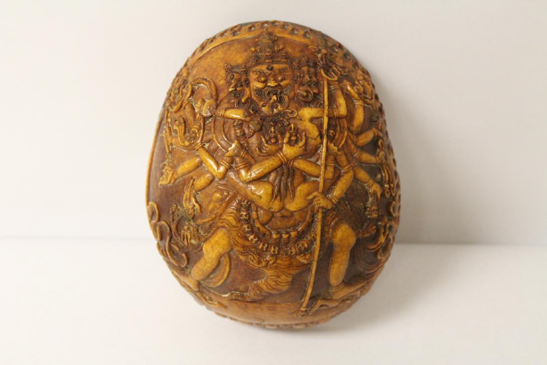 An important Tibetan monk's skull (1 of 11)