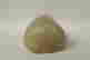 item-75006460=5